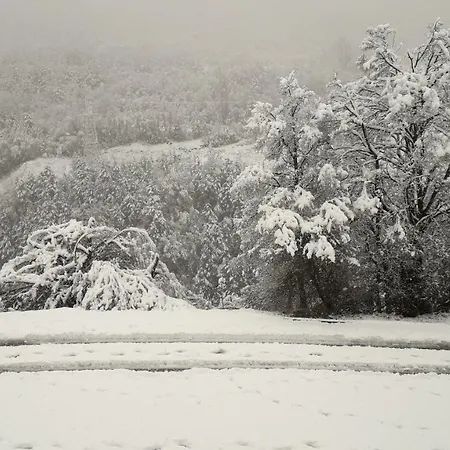 Διαμέρισμα Mi Rincon En
